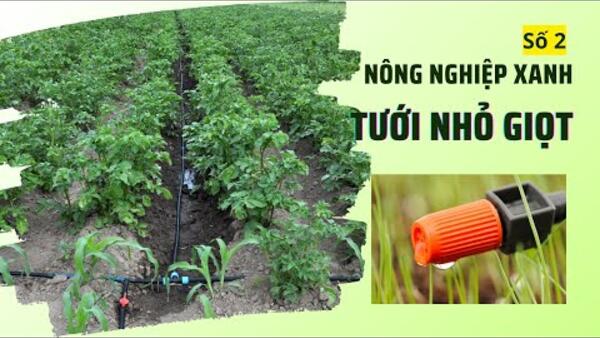Nông dân xã Đức Thạnh làm nông nghiệp xanh